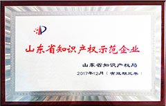 山東省知識(shí)產(chǎn)權(quán)示范企業(yè)<