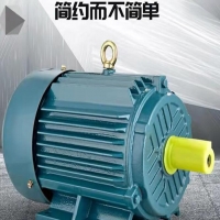 2900轉(zhuǎn)速電機振動值要求多少？
