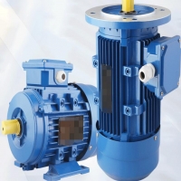 振動(dòng)電機(jī)軸承壞了怎樣拆卸跟安裝？